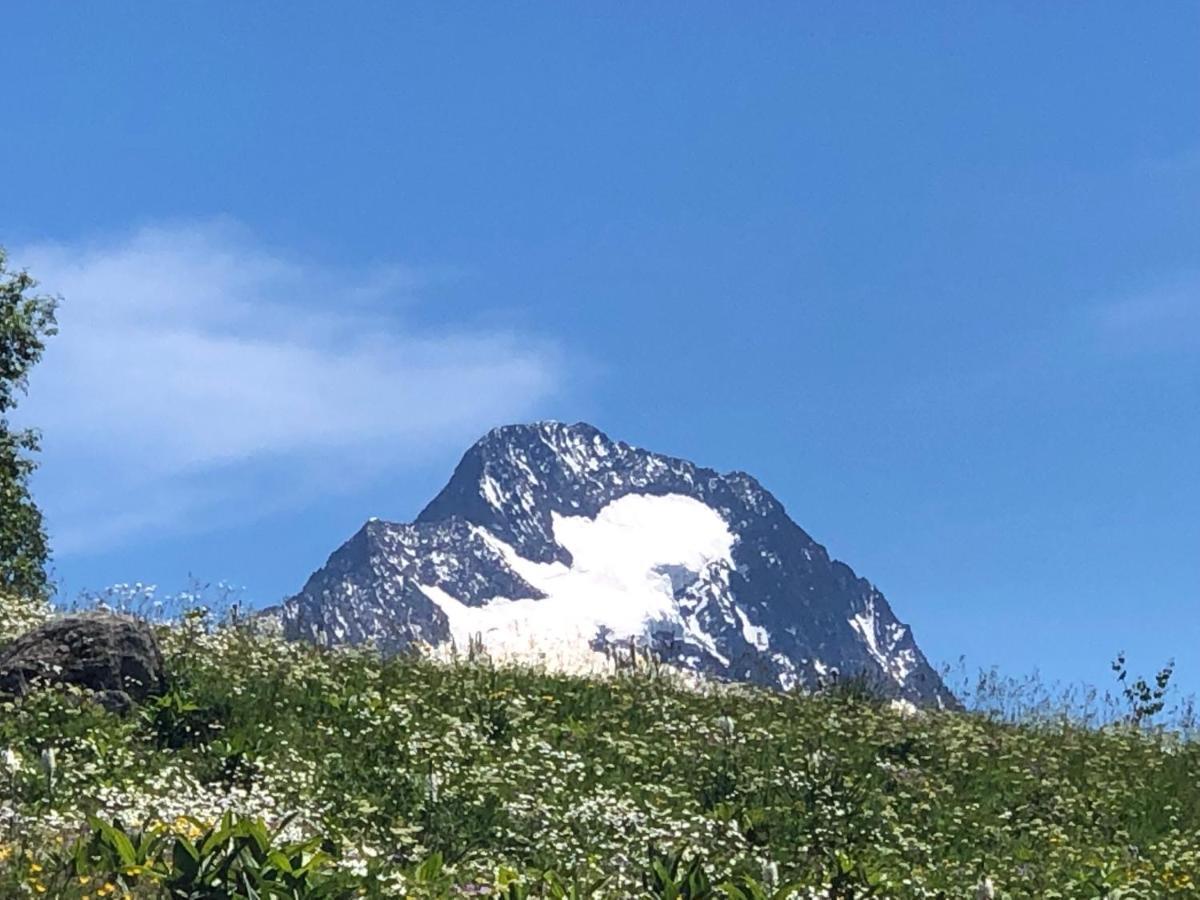 Апартаменти L'Ansloboys Montagne A2 Ле-дез-Альп Екстер'єр фото