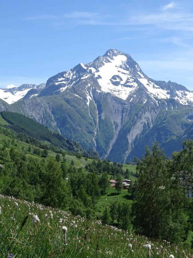Апартаменти L'Ansloboys Montagne A2 Ле-дез-Альп Екстер'єр фото
